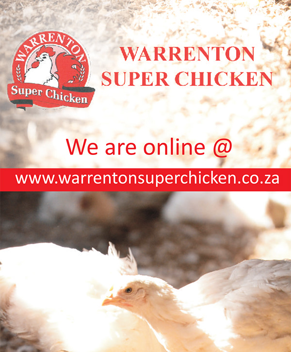 FT-PUBLICATIONS: Trifold Brochure Warrenton Super Chicken